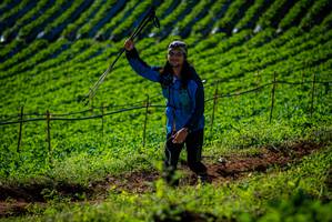 BIB: 
                            <button type="button" onclick="openModal(19160867)" class="btn btn-primary btn-sm float-right btn-popup" data-toggle="modal" data-target=".modal-high-quality">
                        <i class="fas fa-shopping-cart"></i> Add to Cart
                    </button>
                                            <button type="button" onclick="isThisMe(19160867, true)" class="btn btn-success btn-sm float-right btn-popup btn-isme hidden" data-toggle="tooltip" data-placement="bottom" title="นี่คือรูปของคุณใช่ไหม คลิกที่นี่เพื่อเอาเข้าอัลบั้ม">
                        <i class="fas fa-plus"></i> Add to album
                    </button>
                    <button type="button" onclick="isThisMe(19160867, false)" class="btn btn-warning btn-sm float-right btn-popup btn-isnotme hidden">
                        <i class="fas fa-ban"></i> Remove from album
                    </button>